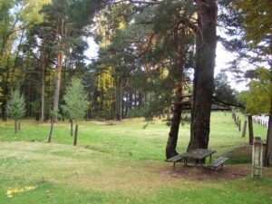 dehesas de cercedilla