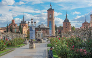 Experiencias culturales en Alcalá de Henares