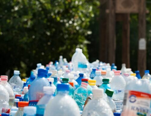 Proyectos Medioambientales: Centros de Interpretación para la Educación y la Conciencia Ecológica