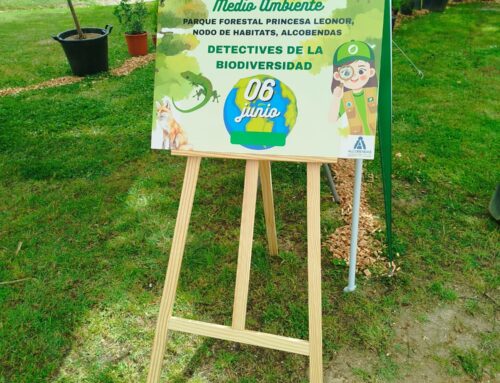 Día Mundial Del Medio Ambiente